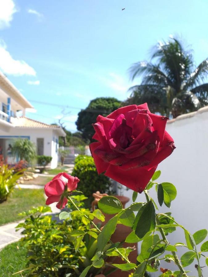 Estrela Azul
